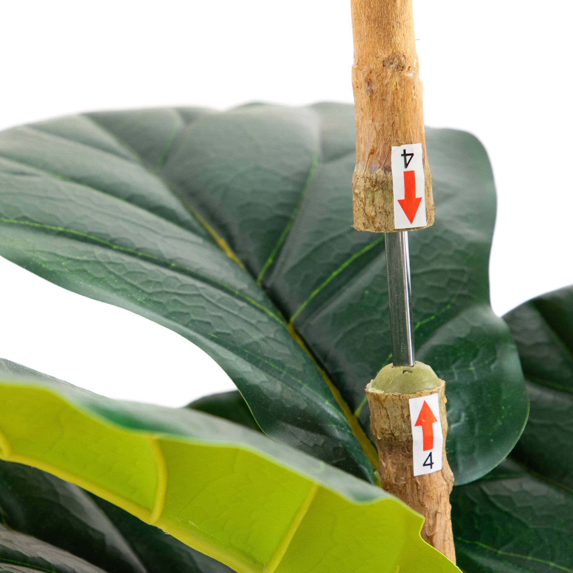 6ft. Fiddle Leaf Tree in Decorative White Planter